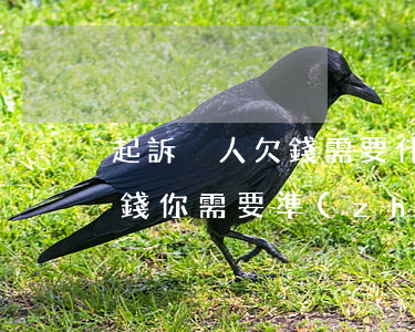 起訴別人欠錢需要什么資料，如何起訴別人欠錢：你需要準(zhǔn)備哪些資料？